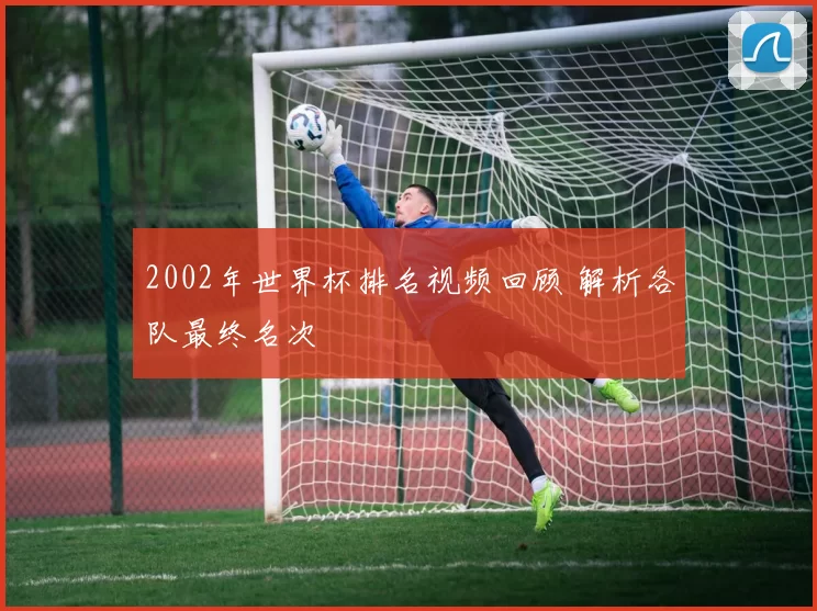2002年世界杯排名视频回顾 解析各队最终名次