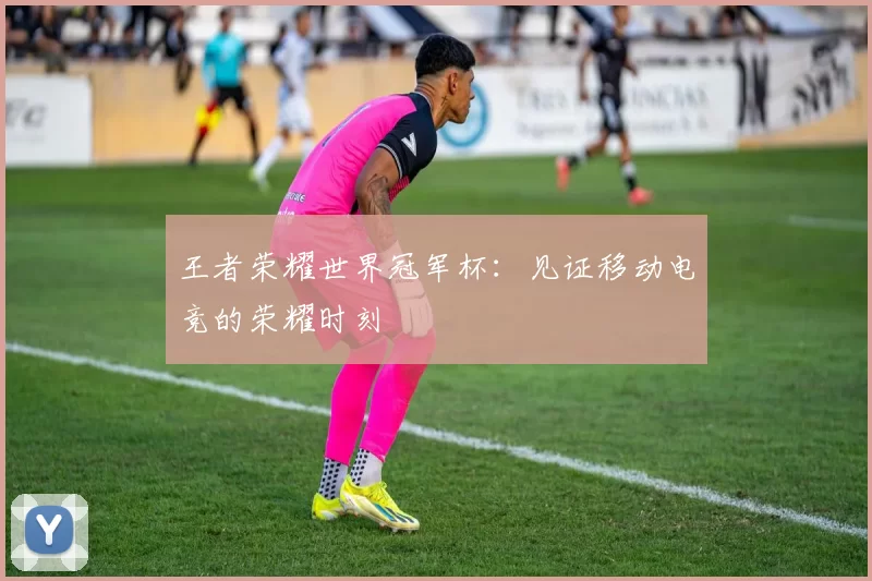 王者荣耀世界冠军杯:见证移动电竞的荣耀时刻