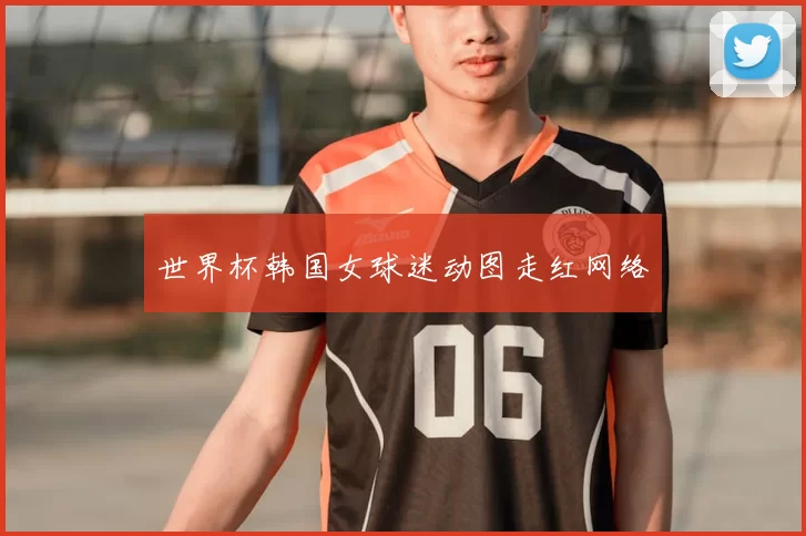 世界杯韩国女球迷动图走红网络