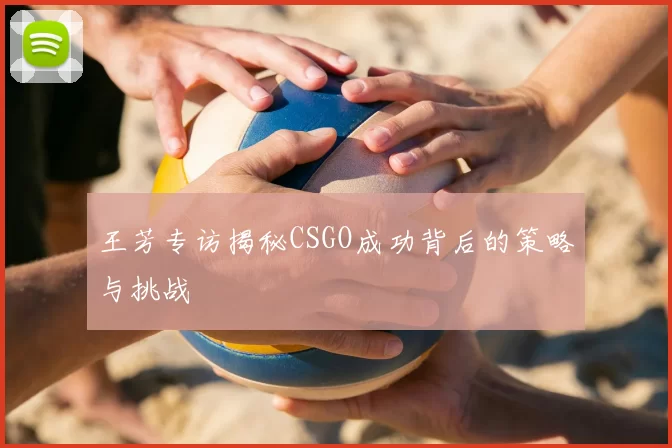 王芳专访揭秘CSGO成功背后的策略与挑战