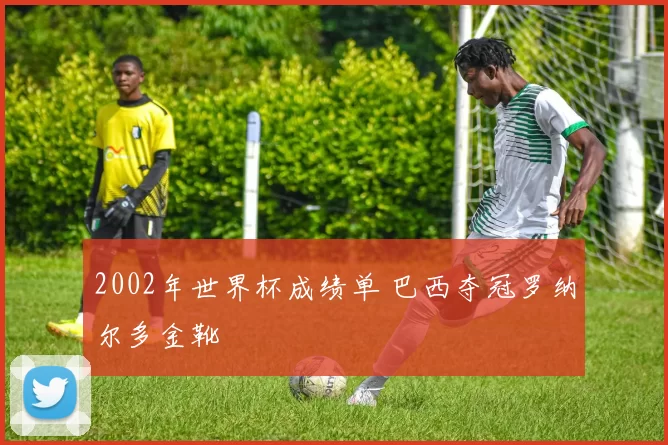 2002年世界杯成绩单 巴西夺冠罗纳尔多金靴