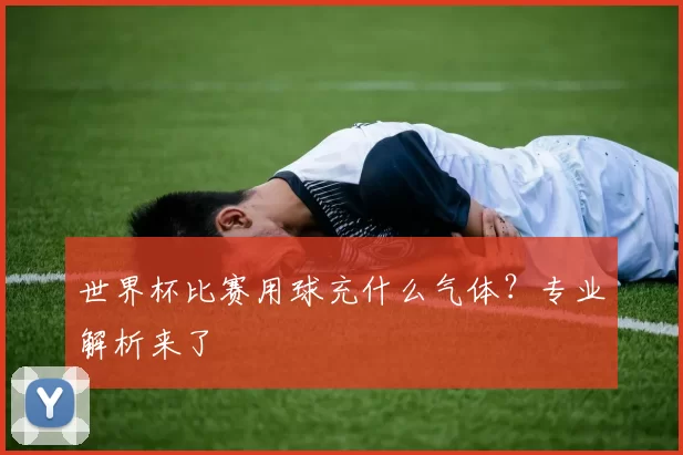 世界杯比赛用球充什么气体?专业解析来了