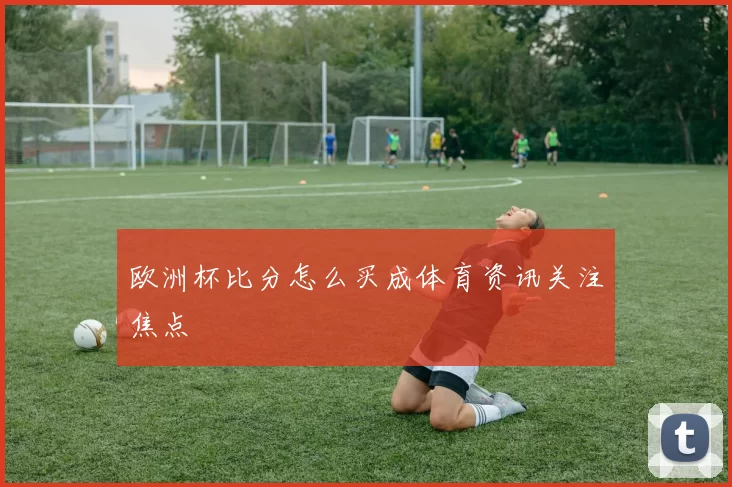 欧洲杯比分怎么买成体育资讯关注焦点
