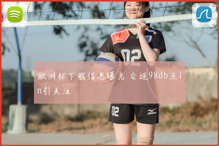 欧洲杯下载信息曝光 合适98db点in引关注