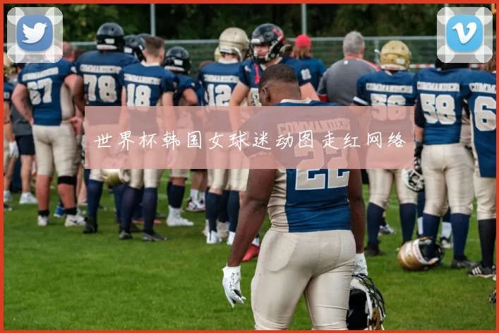 世界杯韩国女球迷动图走红网络