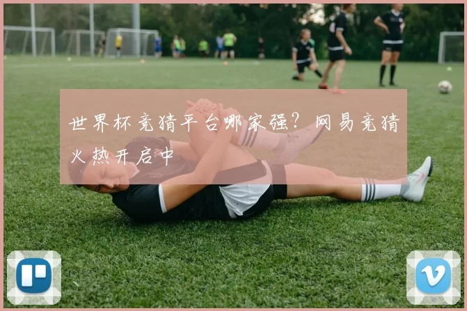 世界杯竞猜平台哪家强?网易竞猜火热开启中