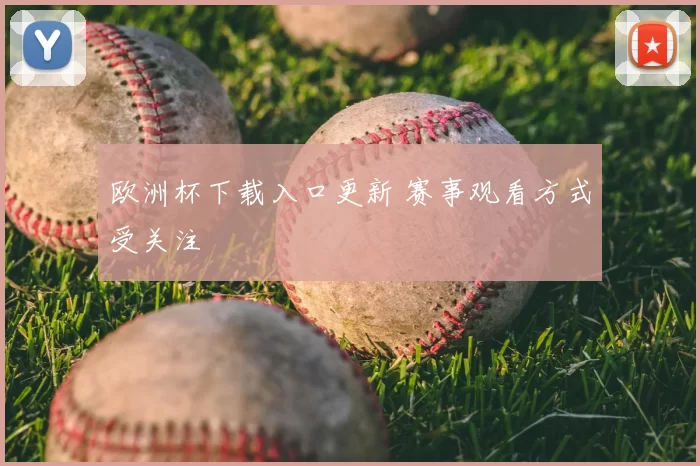 欧洲杯下载入口更新 赛事观看方式受关注