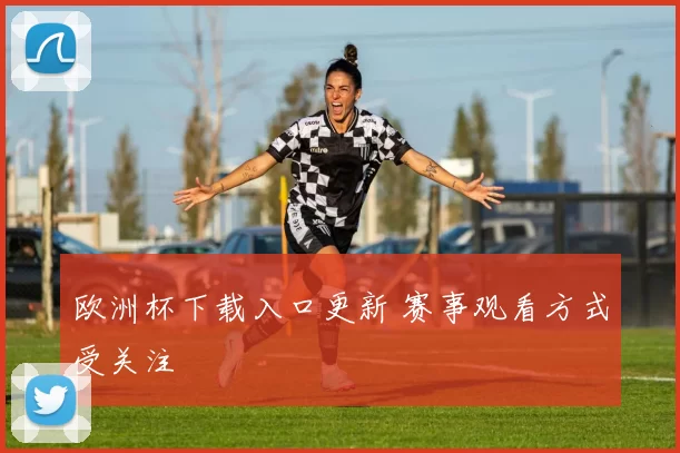 欧洲杯下载入口更新 赛事观看方式受关注